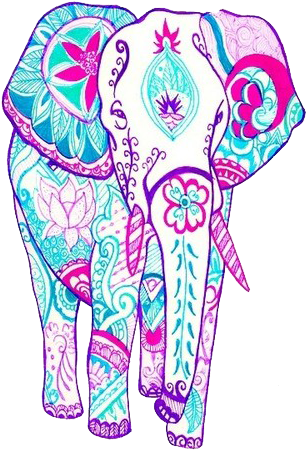 Pretty Elephant - Colorful Indian Elephant Drawing (500x500)