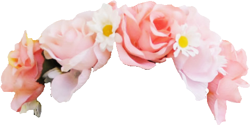 Pink Rose Clipart Png Tumblr - Flower Crown Transparent Background (500x294)