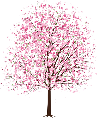 Songs For Summer - Cherry Blossom Tree Drawn (329x407)