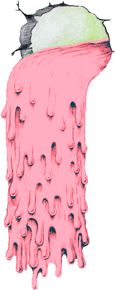 Transparent - Tumblr - Overlays Transparent Tumblr Flowers (497x707)