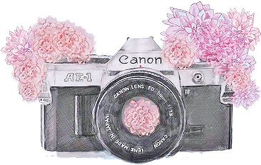 28 Collection Of Canon Camera Drawing Tumblr - Overlays Transparent Tumblr Cameras (491x282)