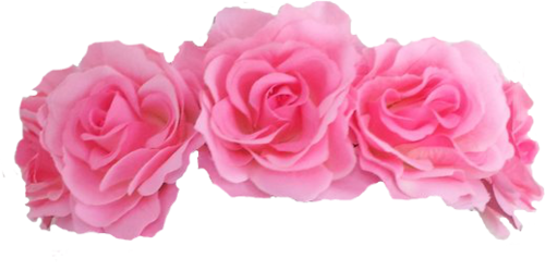 Wow References - Pink Flower Crown Png (500x248)