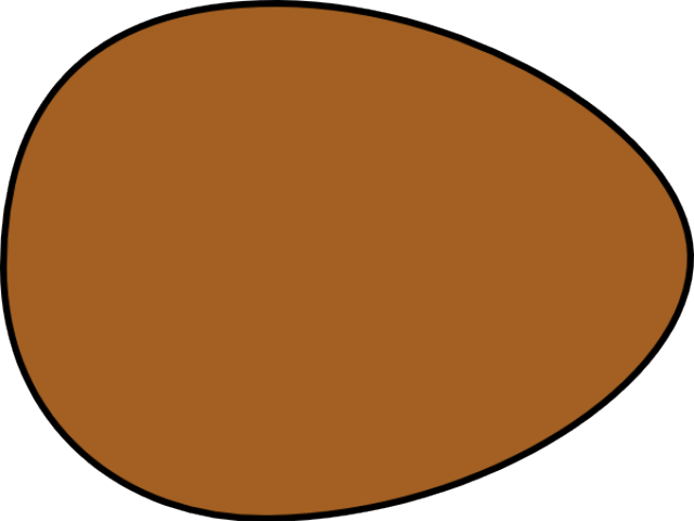 Cliparts Brown Egg - Brown Egg Clipart (640x480)