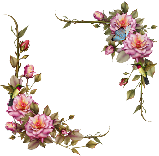 3362195683, Flowers And Rings 3d, Category Pictures - Transparent Floral Frame (581x536)