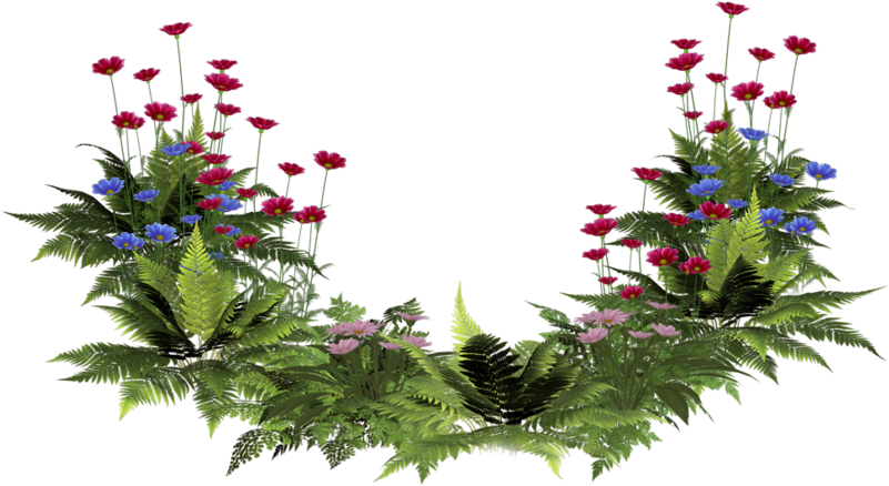 Images House Plants Png - Landscape Architecture (900x717)