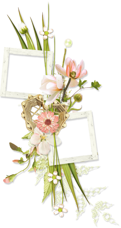 Frames For Scrap Booking Are Tagging - Picture Frame (425x800)