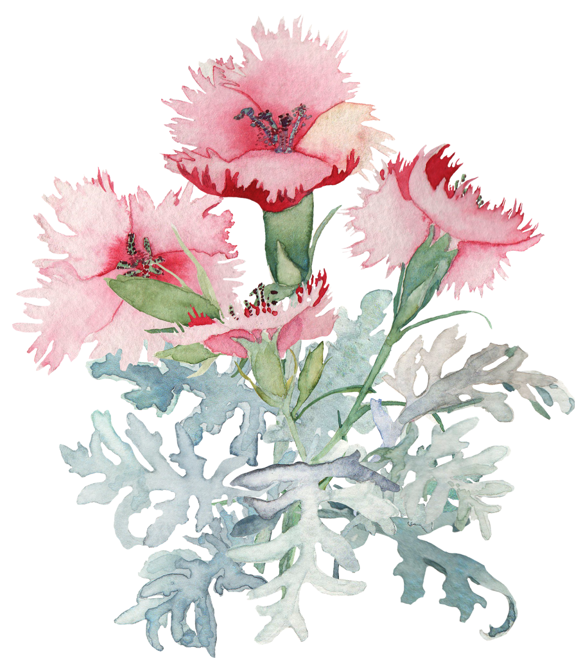 Deep Cove Flowers - Spring Flower Watercolor Bouquet Png (1476x1600)