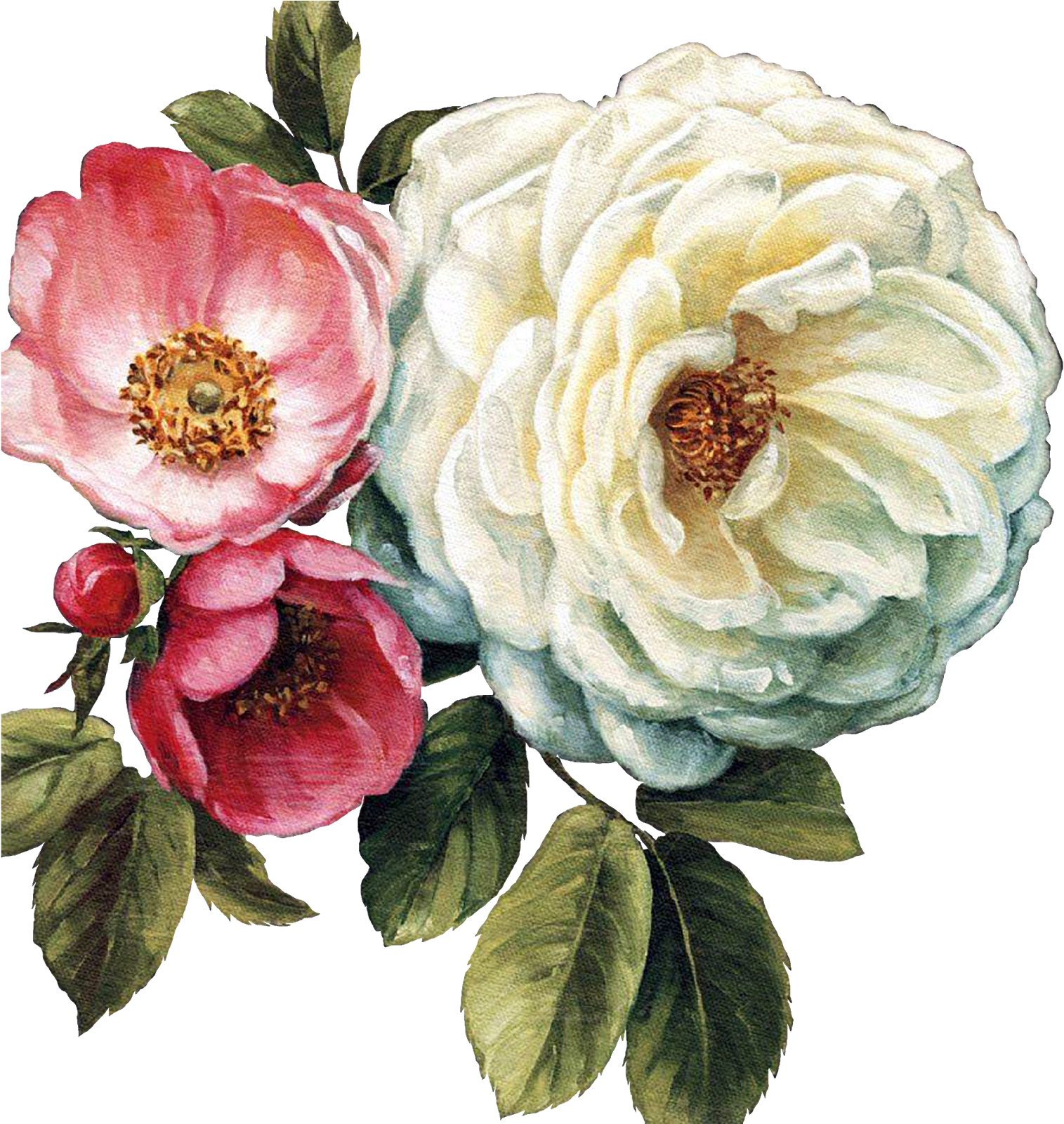 Çiçekler Png Clipart Lisa Audit - Art Print: Audit's Art Print: Floral Damask Art Print (1600x1600)