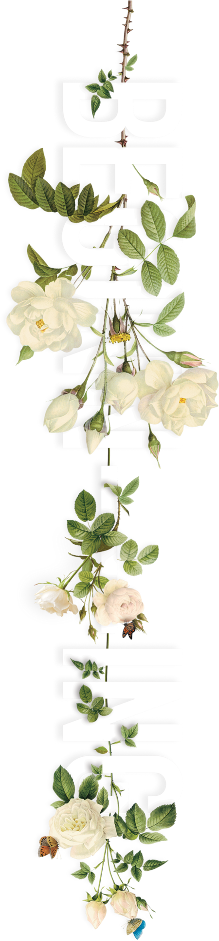 Explore Flower Typography, 3d Typography, And More - One Touch Of Nature Rolled Canvas Art - Amy Cummings (658x1985)