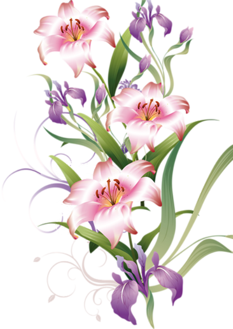 Fleurs - Page - Zazzle Plastikc$platte-lilien Teller (454x641)