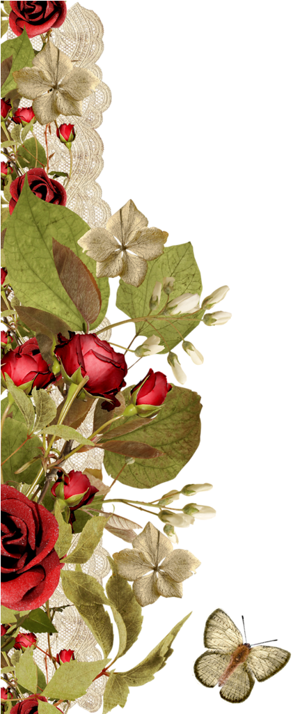 Borders * Cantoneiras * Cluster - Vintage Frühlings-rosen-musik Dankt Ihnen Zu Grußkarte (449x1024)