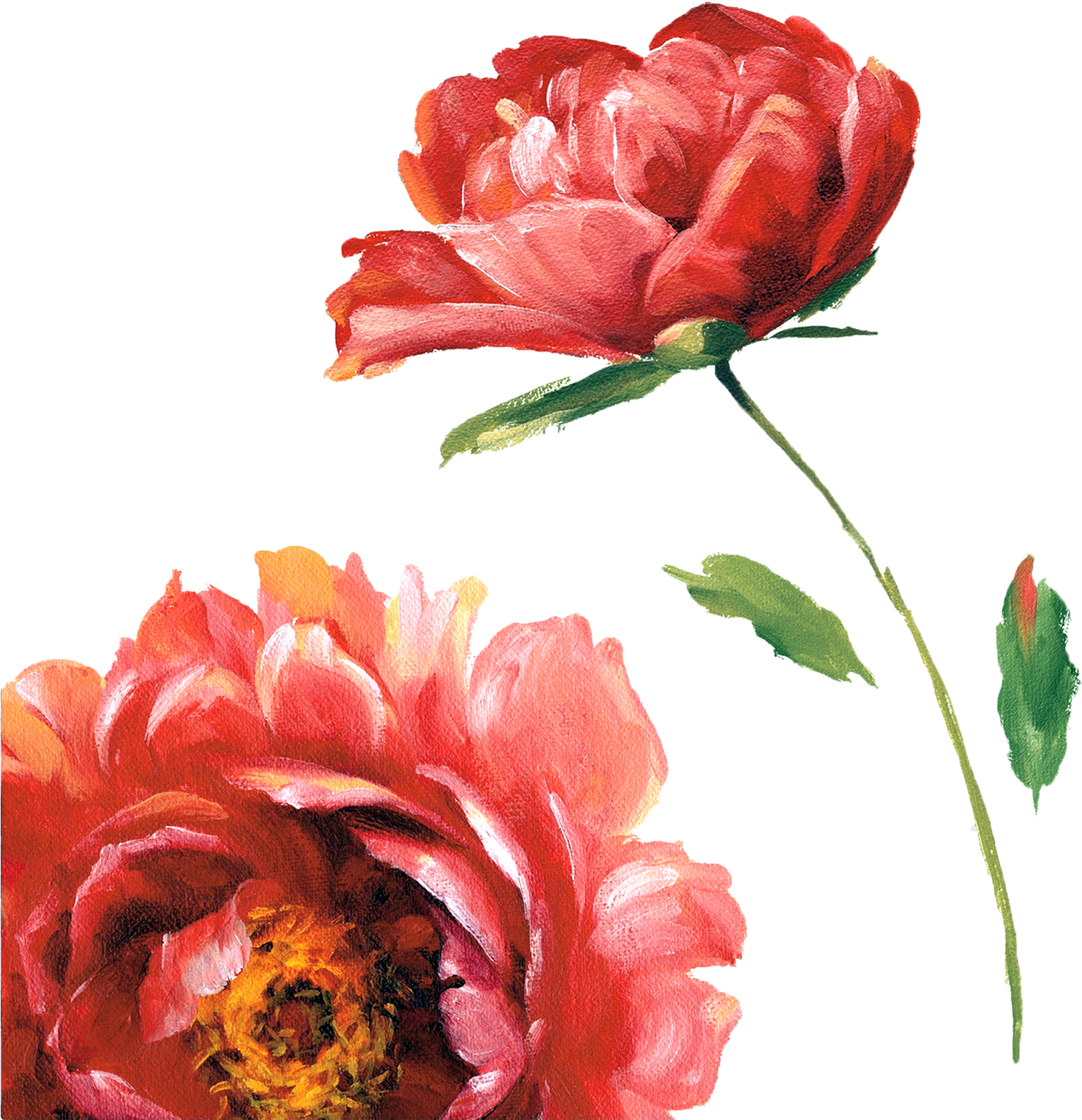 Decoupage Flower, Flower Painting, Flower Painting - Red Flower Watercolor Transparent (1600x1598)