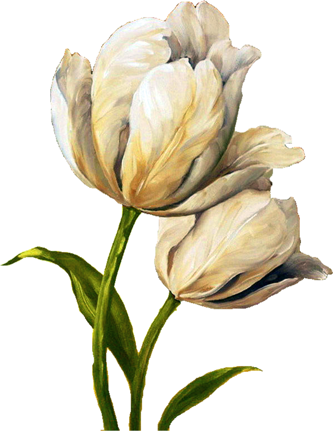 Decoupage Flower, Flower Painting, Flower Painting - Tulip Waltz Iii Canvas Wall Art, Multicolor, 24x36 (1286x1600)