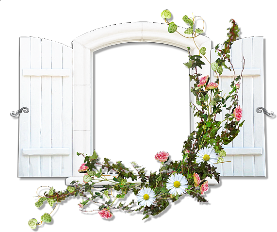 Window With Wild Flowers Flowers Transparent Frame - Window Frame Png Transparent (600x480)