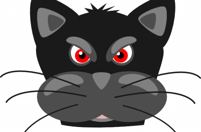 Mad Animals Cartoon Face Sketches - Custom Angry Cat Shower Curtain (640x420)
