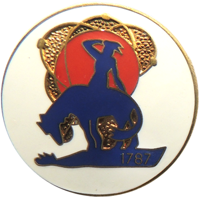 Owego, New York, Police Seal - Emblem (500x500)