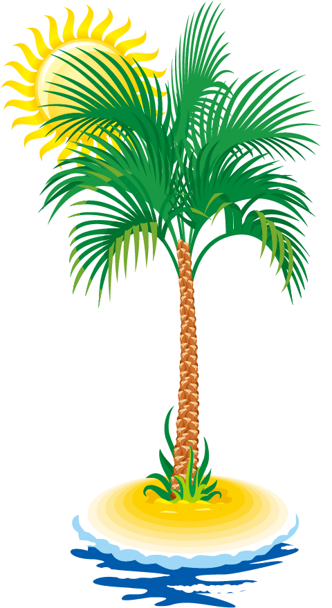 Euclidean Vector Coconut Tree Arecaceae - Euclidean Vector Coconut Tree Arecaceae (1181x1181)