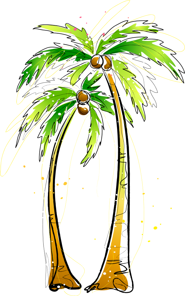 Arecaceae Coconut Painting Illustration - Arecaceae Coconut Painting Illustration (1181x1181)