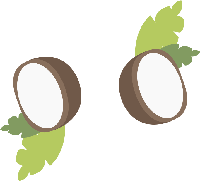 Coconut Oil Small Illustrations - Illustration (800x800)