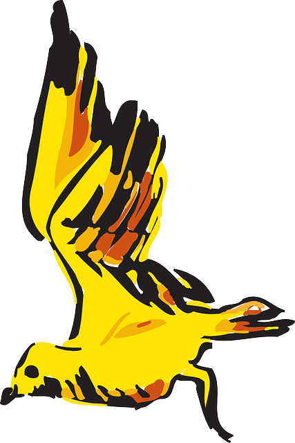 Yellow, Bird, Flying, Wings, Art, Animal, Feathers - Bird (427x640)
