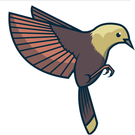 Bird Flight Feather Beak Wing - Bird Flight Feather Beak Wing (600x600)