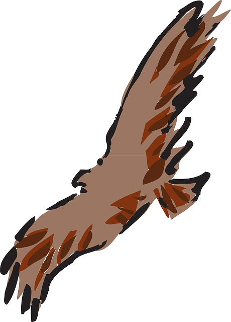Brown, Bird, Flying, Wings, Art, Animal, Feathers, - Art (460x640)