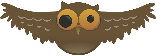 Owl, Weird, Bird, Nocturnal, Pupil, Wide, Flying, Wings - Cartoon Owl Png (640x320)