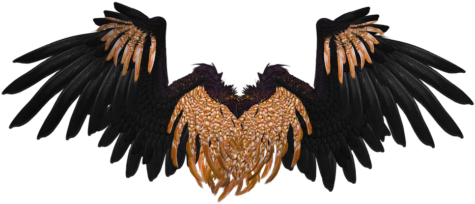 Wing, Angel, Fly, Gold, Black, Png, Isolated, 3d - Cánh Thiên Thần Png (960x640)
