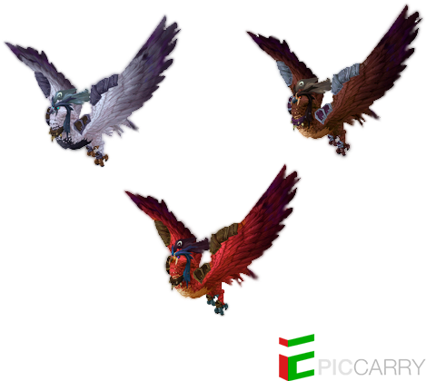 Druid Flight Forms - Red-tailed Hawk (500x500)