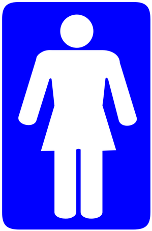 Ladies Toilet Sign Vector Drawing - Application Icon Toilette Femme (500x500)