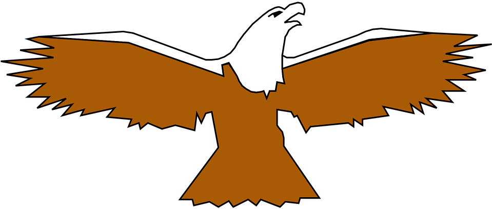 Flying Hawk Cliparts 8, - Birds Wings Spread Clipart (960x480)