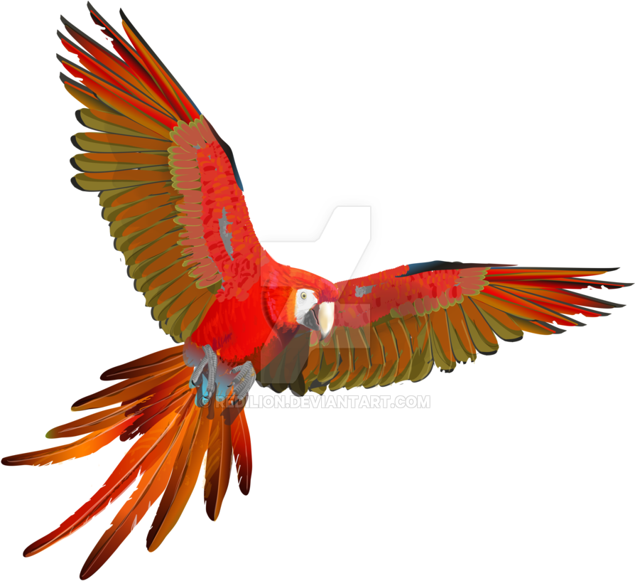 Ara Macao- Flying By Redilion - Ara Flying (900x828)