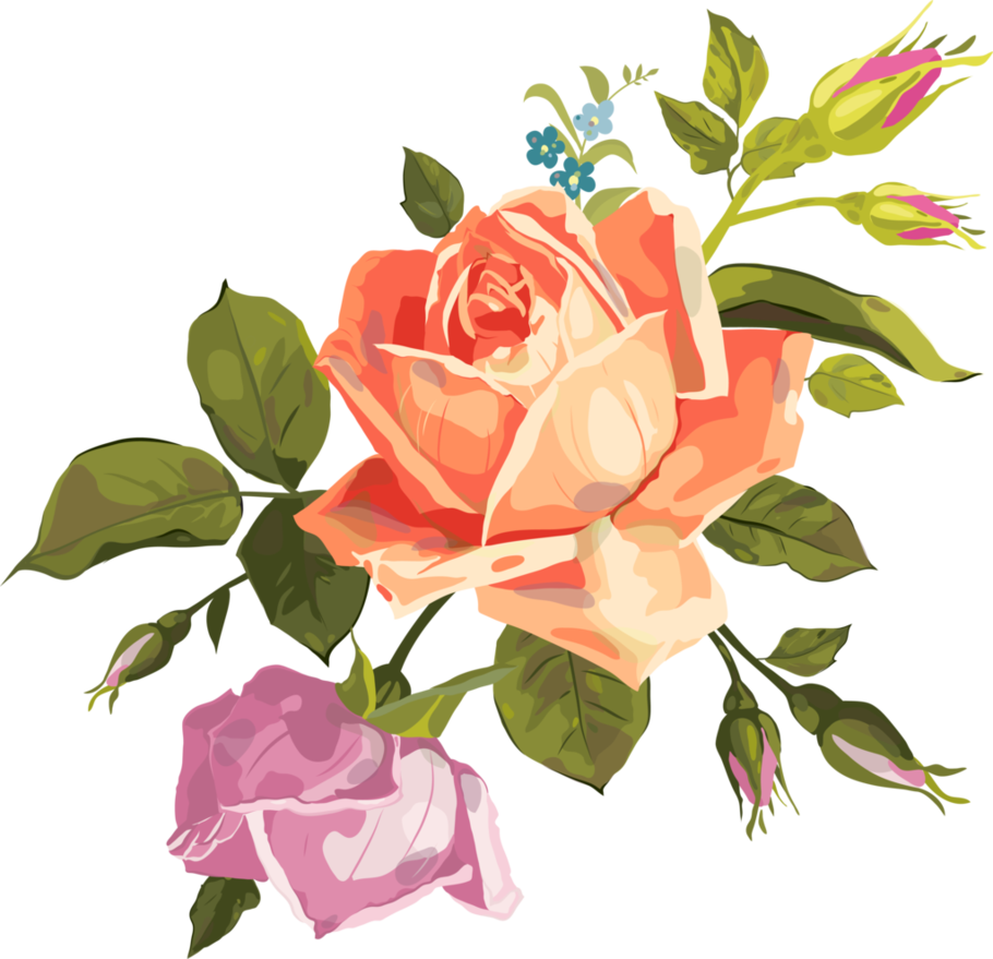 Vintage Flower Art Prints Download - Rose Png (910x879)