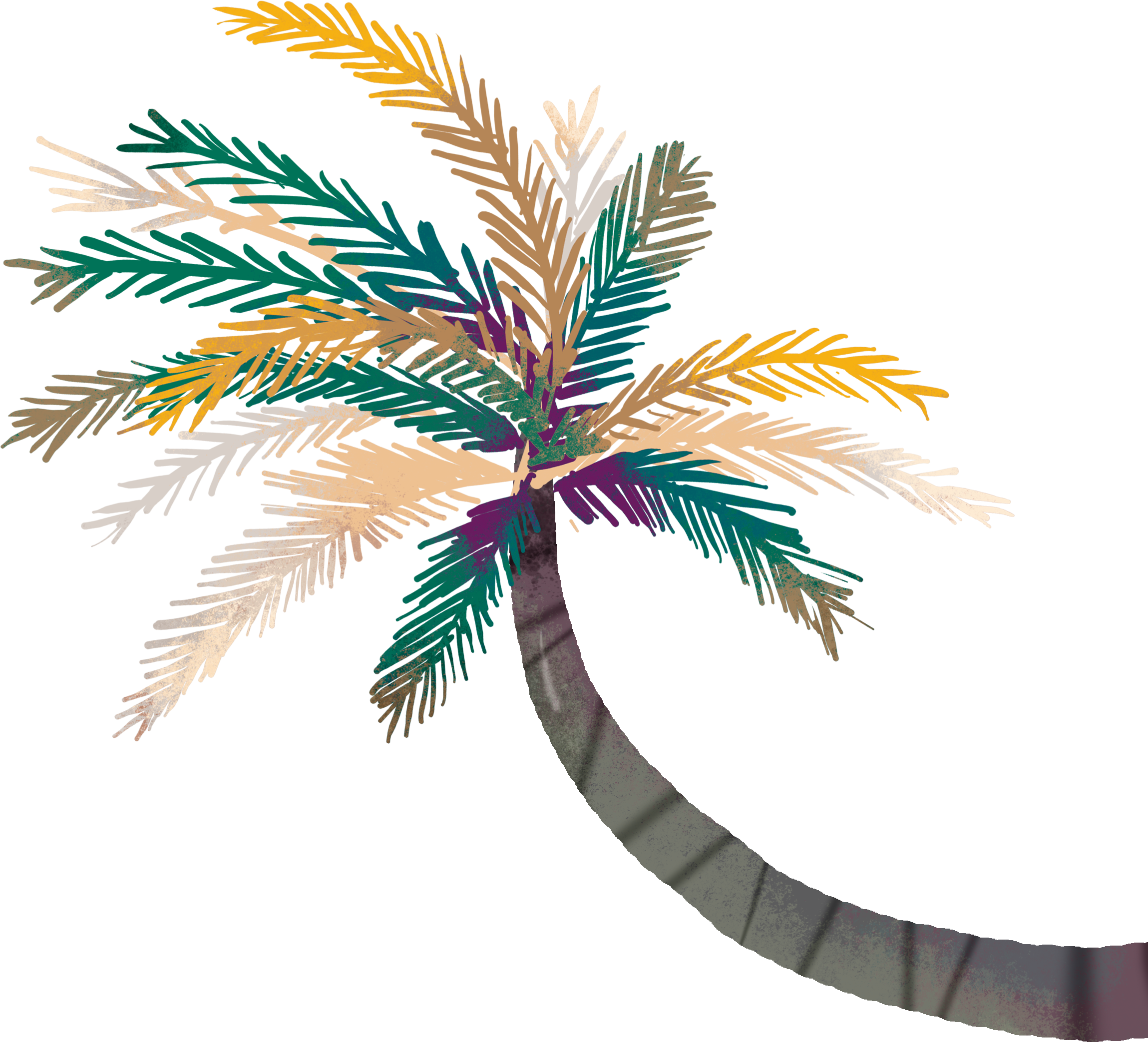 Arecaceae Clip Art - Arecaceae Clip Art (2299x2086)