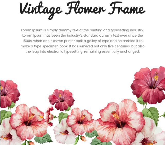 Vintage Flower Frame With Typography, Vintage, Flower, - Hibiscus Flower Drawing (640x640)