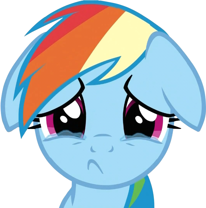 Rainbow Dash Sad - You Don T Like Ponies (1024x768)