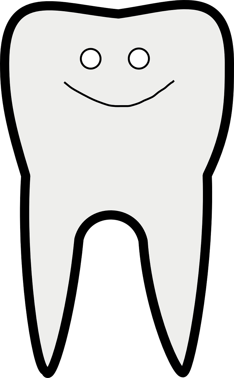 My Tooth Hurts And So Do The Duggars - Tooth Vector Art (791x1280)