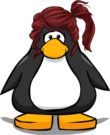 The Summer Sidetied From A Player Card - Club Penguin With Hat (376x461)