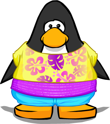 Endless Summer Outfit From A Player Card - Club Penguin (376x424)