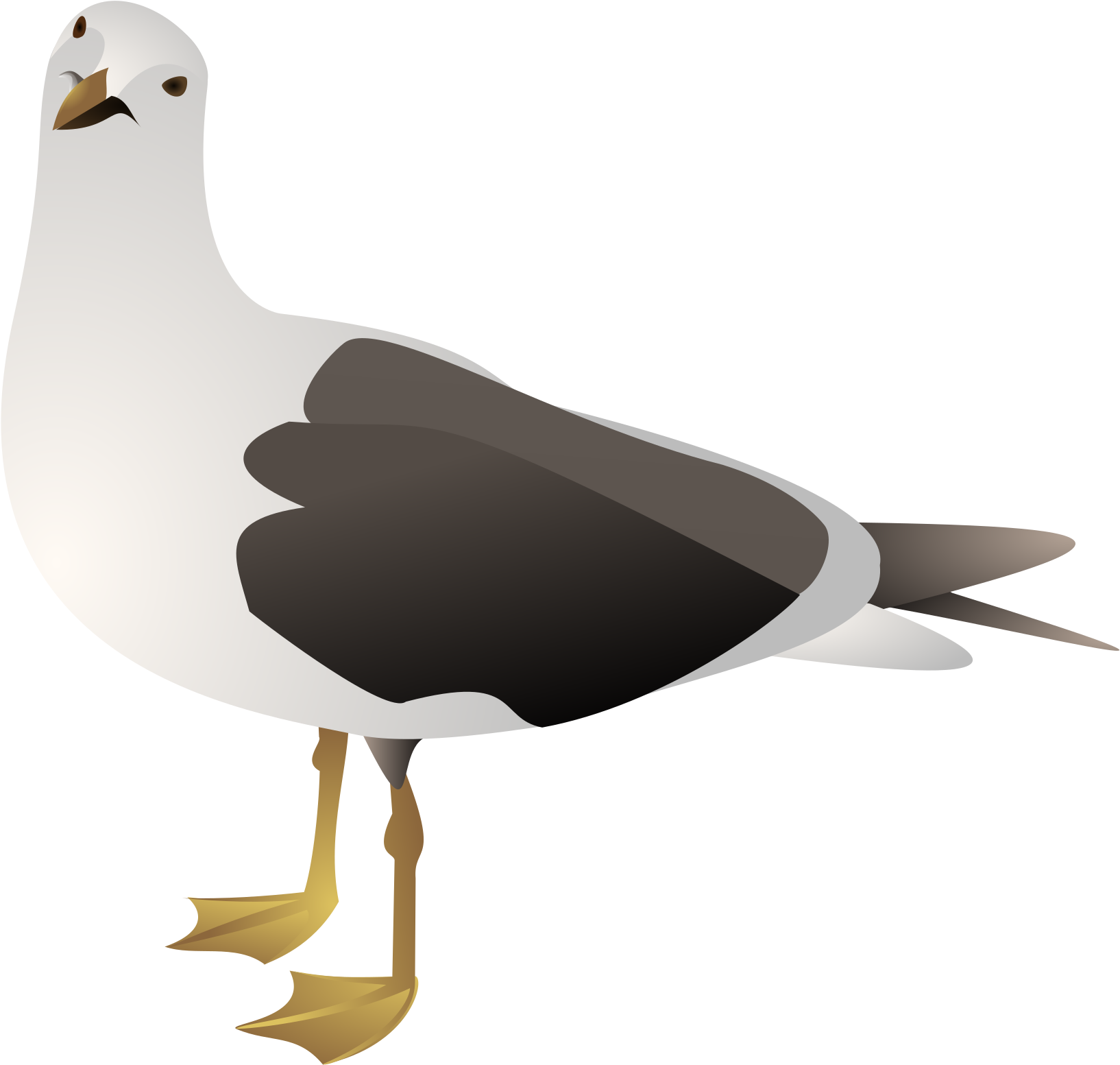 Clipart Seagull - Gull Clip Art (2400x1697)