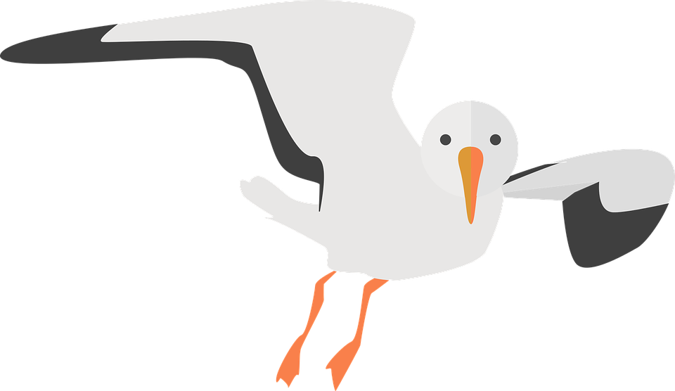 Seagull Clipart Transparent Pencil And In Color Seagull - Transparent Background Seagull Clipart (960x556)
