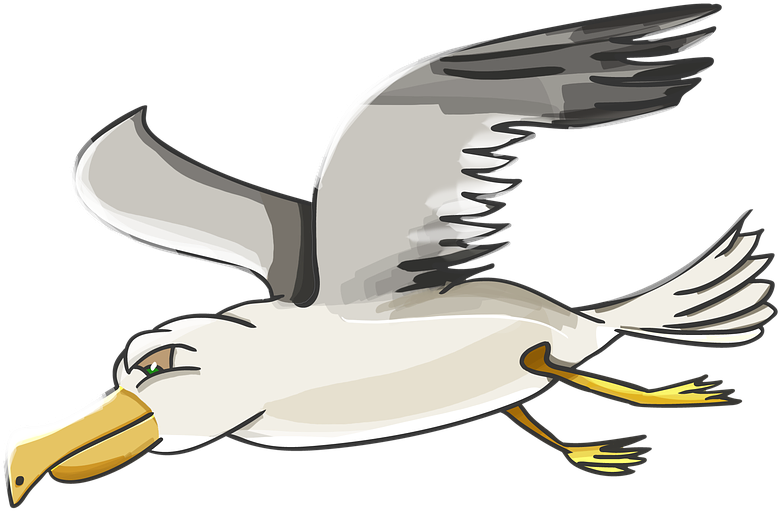 Seagull Clipart Albatross - Swaddling (800x720)