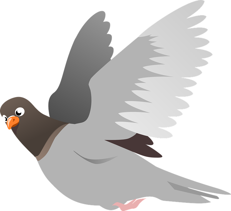 Seagull Cliparts 17, Buy Clip Art - 15 Oz Ceramic Large Mug (786x720)