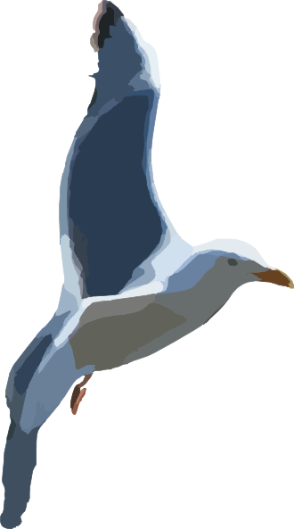 Cartoon Flying Seagull Clipart (330x593)