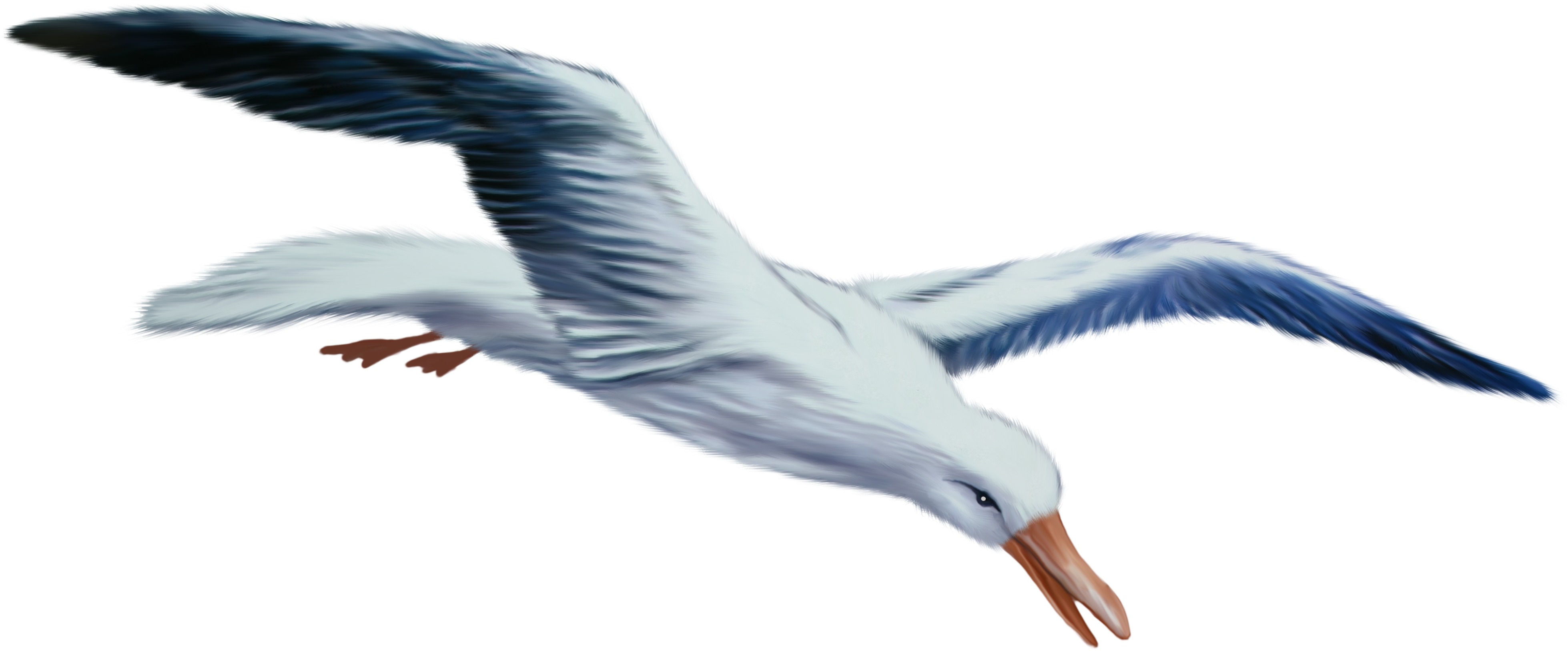 28 Collection Of Seagull Clipart Transparent Background - Чайка Пнг (4160x1912)