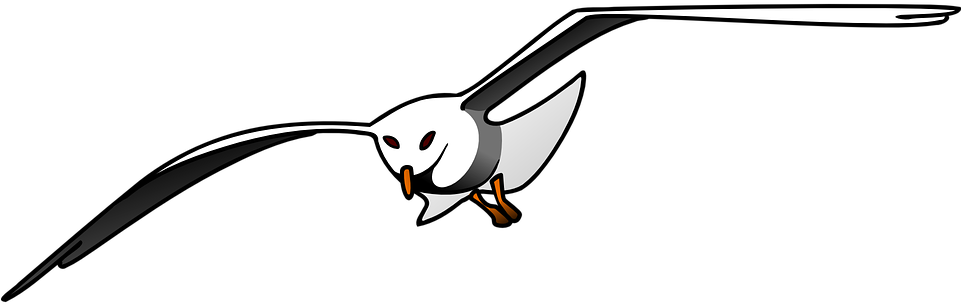 Seagull Clipart Bird Fly - Seagull Clipart (960x480)