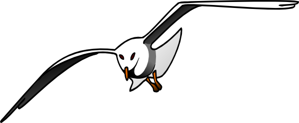Albatross - Clipart - Seagull Clipart (600x247)