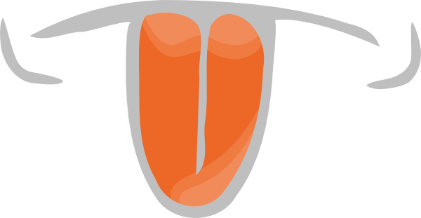 Tongue (600x311)
