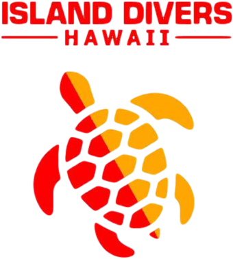 Download Ipa / Apk Of War Tortoise For Free - Island Divers Hawaii (440x450)