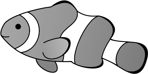 Innovation Ideas Clownfish Clipart Clipartblack Com - Clown Fish Drawing (555x279)